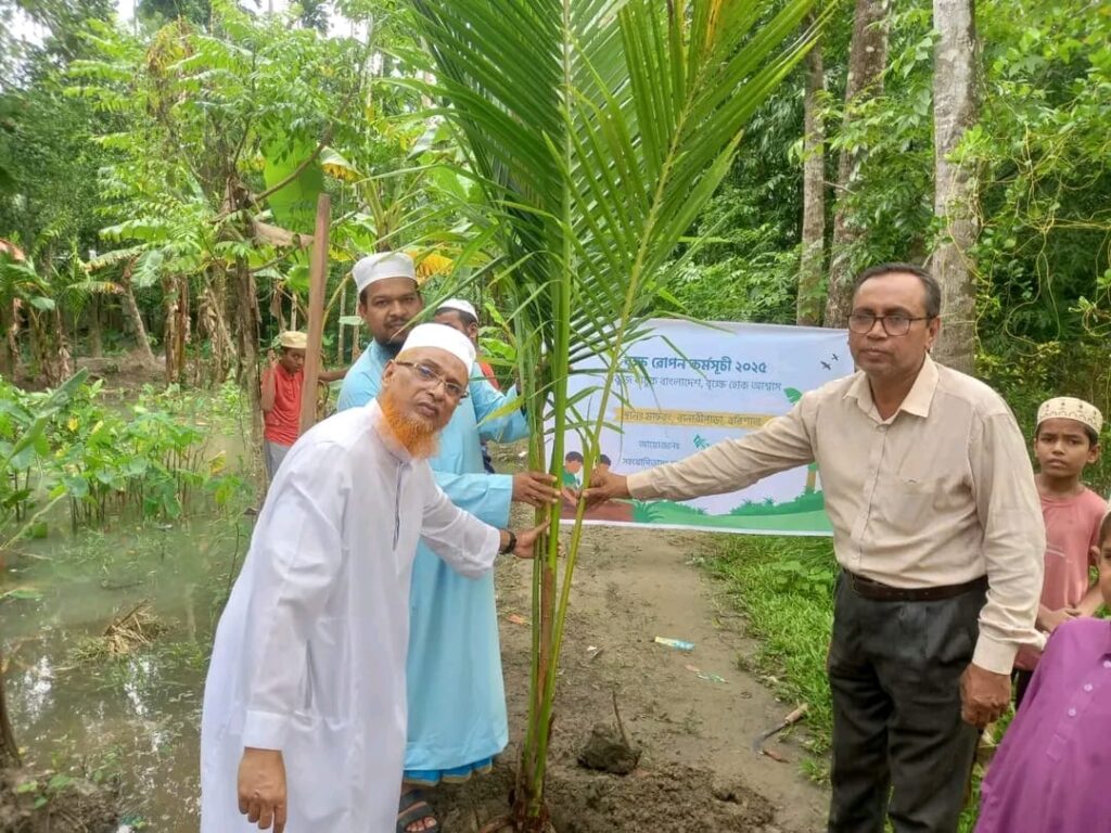 tree planting for a better environment
