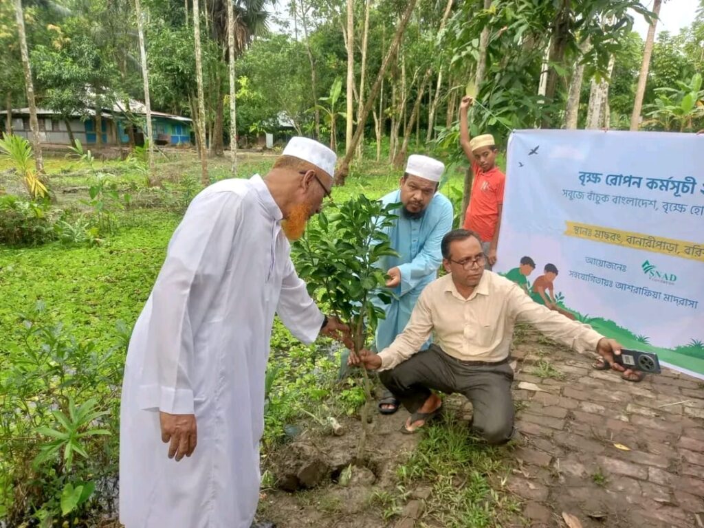 tree plant event